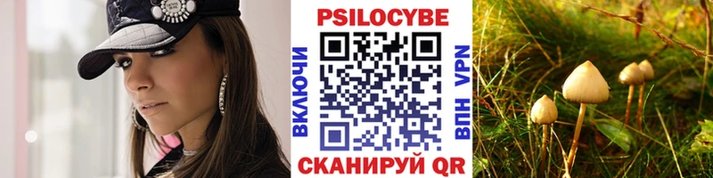 Галлюциногенные грибы Cubensis  наркошоп  блэк спрут как войти  Камышлов 